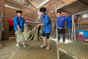Đoàn thanh niên hỗ trợ nhà trường dọn dẹp sau lũ. (Ảnh: Đình Tuân)