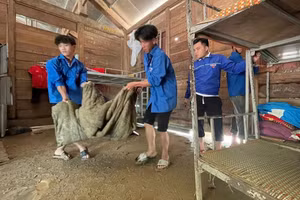 Đoàn thanh niên hỗ trợ nhà trường dọn dẹp sau lũ. (Ảnh: Đình Tuân)