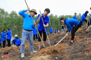 Giáo viên, học sinh Trường THPT Thanh Chương trồng cây dịp đầu năm.