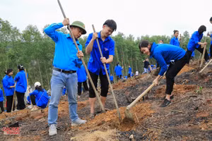 Giáo viên, học sinh Trường THPT Thanh Chương trồng cây dịp đầu năm.