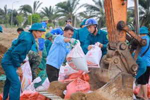 Lực lượng chức năng tham gia vá đê sông Vinh (Nghệ An).