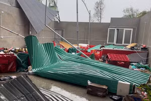 Nghệ An thiệt hại nặng do bão Bualoi. (Ảnh: CTV)