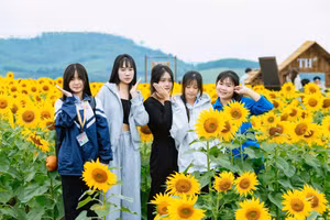 Các bạn trẻ tạo dáng bên đồi hoa hướng dương. (Ảnh: Rạng Đông)