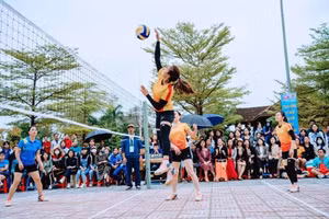 Ngành Giáo dục tỉnh Nghệ An tạm dừng hội thao vào tháng 10 để chia sẻ với ngành GD&ĐT các tỉnh bị thiệt hại do mưa lũ.