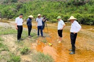 Cơ quan chức năng huyện Quỳ Hợp kiểm tra hiện trường cá chết trên suối Bắc. Ảnh: Huy Nhâm