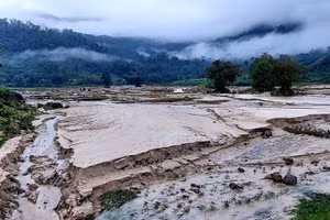 Lũ quét thiệt hại hơn 10ha ruộng ở xã Hạnh Dịch, huyện Quế Phong. (Ảnh: Đình Đức)