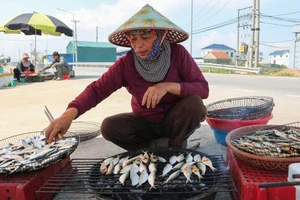 Người dân xã Hải Châu, Nghệ An nướng cá trích. (Ảnh: Phạm Tâm)