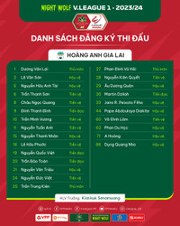 Danh sách cầu thủ 14 đội bóng dự V-League 2023/24