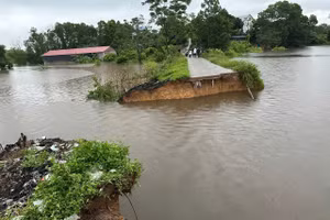 Hình ảnh vỡ một đoạn đường liên thôn ngăn giữa suối Lai Sơn với một cánh đồng. 