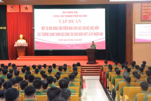 Quang cảnh buổi tập huấn.