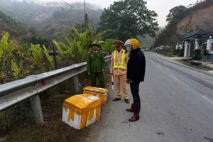 Cận Tết, phát hiện hơn 1 tấn thực phẩm không rõ nguồn gốc