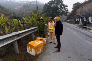 Cận Tết, phát hiện hơn 1 tấn thực phẩm không rõ nguồn gốc