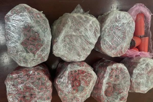 Hình ảnh tang vật pháo nổ trong một vụ việc.