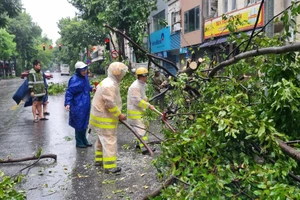 Lực lượng Công an Thủ đô khắc phục hậu quả cây đổ do mưa bão.