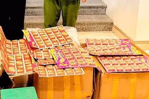 Tang vật là pháo nổ được cơ quan công an thu giữ.