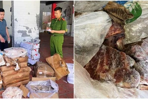 2,5 tấn thịt không hoá đơn trong kho đông lạnh ở Ninh Bình