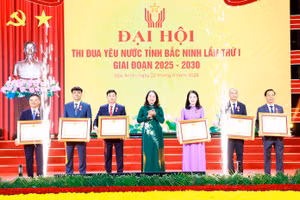 Thừa ủy quyền, Phó Chủ tịch nước Võ Thị Ánh Xuân trao Huân chương Lao động cho các cá nhân.