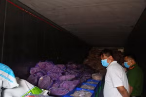 Lực lượng chức năng kiểm tra số thực phẩm.