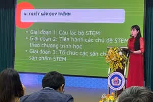 Cô giáo Nguyễn Lan Phương trình bày tham luận tại hội nghị.