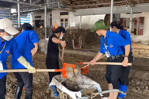 Sinh viên EPU hỗ trợ người dân Yên Bái khắc phục hậu quả sau mưa bão, ngập lụt.