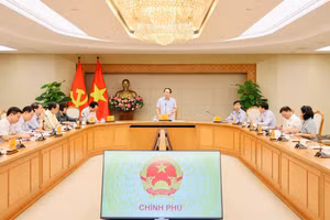 Quang cảnh buổi làm việc.