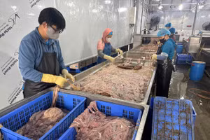 Kho lạnh chứa hàng chục tấn lòng lợn không rõ nguồn gốc suốt nhiều tháng (Ảnh CAHN).