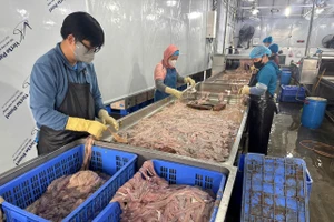 Kho lạnh chứa hàng chục tấn lòng lợn không rõ nguồn gốc suốt nhiều tháng (Ảnh CAHN).