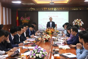 Ông Mai Sơn - Phó Chủ tịch Thường trực UBND tỉnh Bắc Ninh phát biểu tại hội nghị.