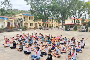 Bắc Giang tăng cường các hoạt động thực hành, trải nghiệm (ảnh minh họa).