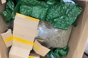 Hơn 700kg Cần sa bị lực lượng Công an thu giữ.