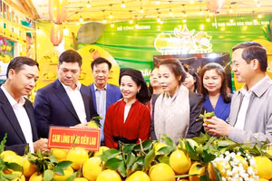 Lãnh đạo tỉnh Bắc Ninh tham quan các gian trưng bày.