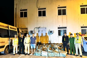 Lực lượng chức năng kiểm tra, phát hiện số lượng lớn khí cười. 