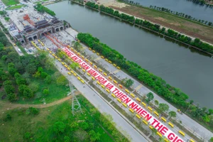 Ảnh minh họa (IT)