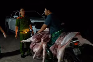 Thịt lợn được vận chuyển lợn ra chợ để tiêu thụ.