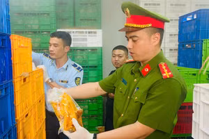 Lực lượng chức năng kiểm tra số thực phẩm.