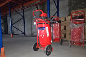 Bình chữa cháy nhãn hiệu DRAGON là hàng giả (Ảnh CAHN).