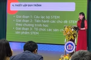 Cô giáo Nguyễn Lan Phương trình bày tham luận tại Hội nghị do Sở GD &ĐT Hà Nội tổ chức.