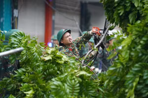 Hà Nội khắc phục cây xanh đổ, gãy.