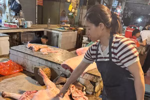 Cơ quan chức năng đã khởi tố vụ án, khởi tố 3 bị can liên quan. (Ảnh: CAHN)