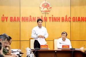 Cục trưởng Cục Quản lý chất lượng, Bộ GD&ĐT Huỳnh Văn Chương kết luận buổi làm việc.