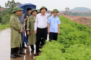 Ông Nguyễn Văn Gấu kiểm tra khu vực đê bối Lãng Sơn.