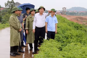 Ông Nguyễn Văn Gấu kiểm tra khu vực đê bối Lãng Sơn.