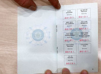 Xe sang giá rẻ: Tuyệt chiêu né thuế ảnh 15