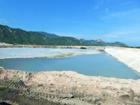 Nguy cơ tiềm ẩn từ bãi xỉ thải nhà máy nhiệt điện Vĩnh Tân 2 ảnh 7