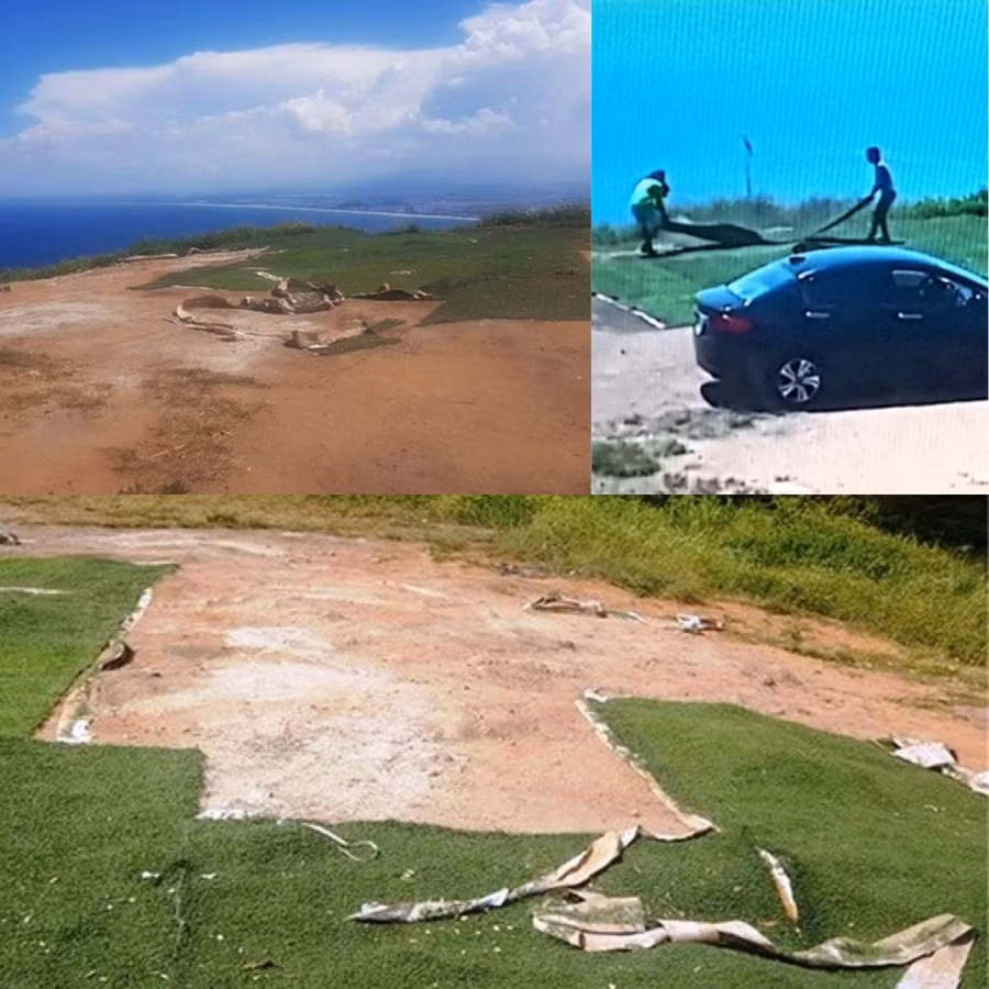 Đà Nẵng: Truy tìm 2 đối tượng đi ô tô trộm cỏ nhân tạo