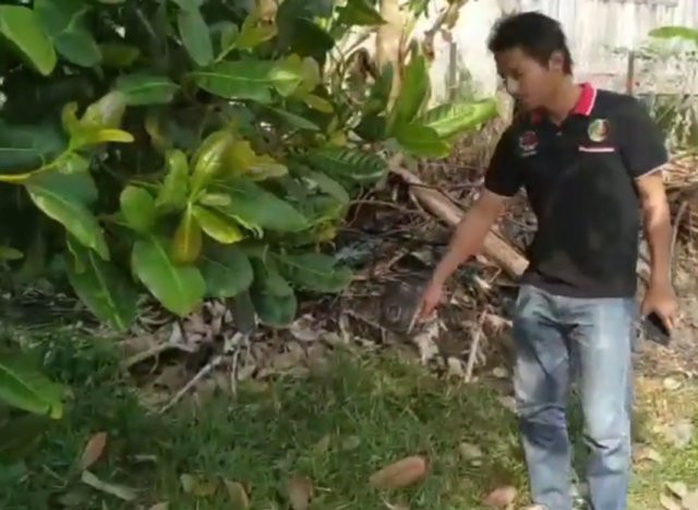 Thấy chú mèo đột nhiên chạy vào bụi cây rồi kêu gào, người đàn ông phát hiện kinh hoàng
