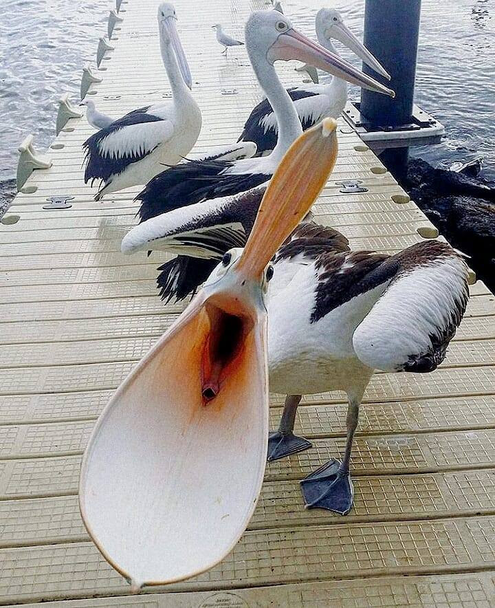 Để mị nói cho mà nghe