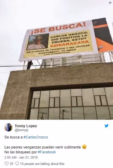 Cô gái dựng quảng cáo “khủng” tìm sở khanh ảnh 2