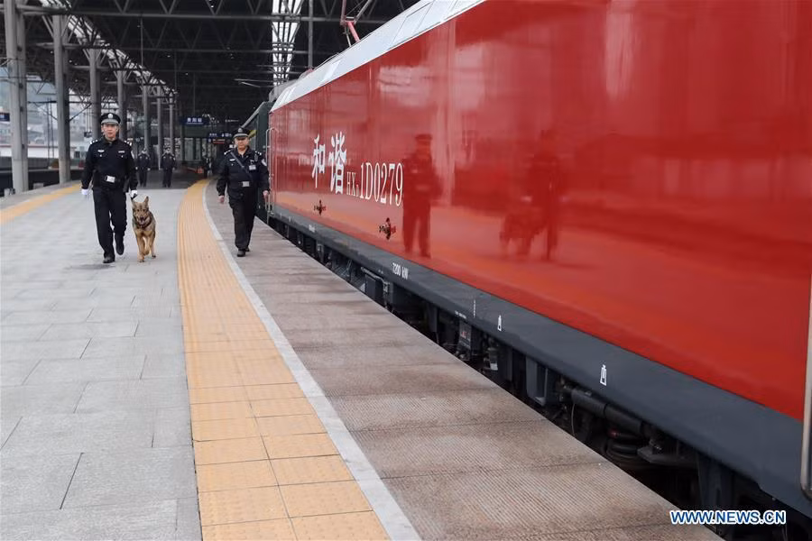 Tết Nguyên Đán,chó nghiệp vụ,nhà ga,Trung Quốc