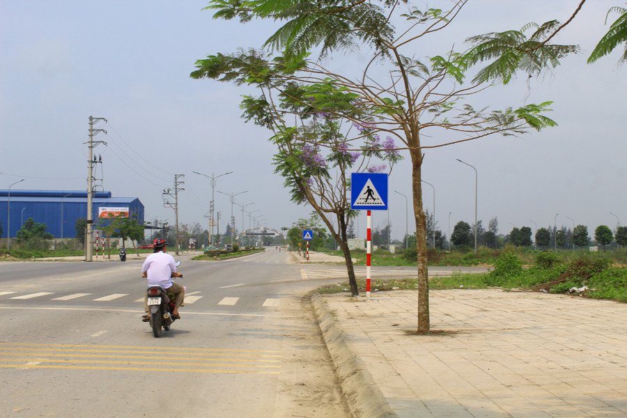 Hàng phượng tím bắt đầu bung nở trên trục đường từ xã Hoằng Đạo (sát thị trấn Bút Sơn) xuống biển Hải Tiến (Hoằng Hóa, Thanh Hóa). Theo kế hoạch của UBND huyện Hoằng Hóa, Lễ hội du lịch biển Hải Tiến năm 2023 sẽ khai mạc vào ngày 28/4 tới đây. Ảnh: LT. Hàng phượng tím bắt đầu bung nở trên trục đường từ xã Hoằng Đạo (sát thị trấn Bút Sơn) xuống biển Hải Tiến (Hoằng Hóa, Thanh Hóa). Theo kế hoạch của UBND huyện Hoằng Hóa, Lễ hội du lịch biển Hải Tiến năm 2023 sẽ khai mạc vào ngày 28/4 tới đây. Ảnh: LT.